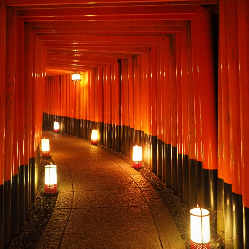 The Enchanting Thousand Torii Gates