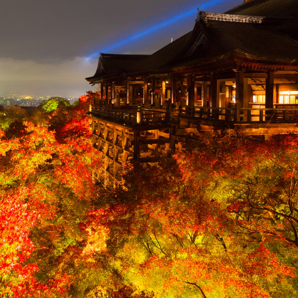 Kyoto Autumn Leaves 2026: Peak Dates and Night Illuminations