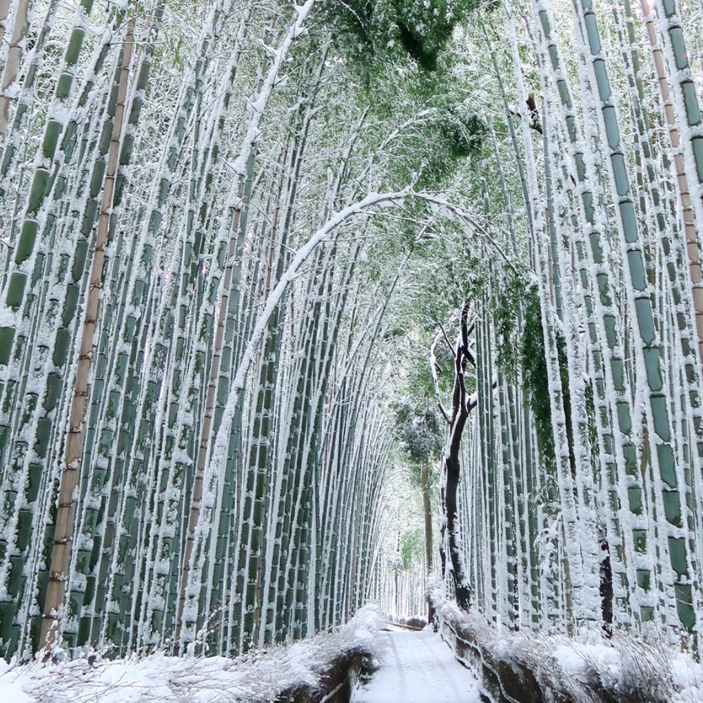  Seasonal Beauty