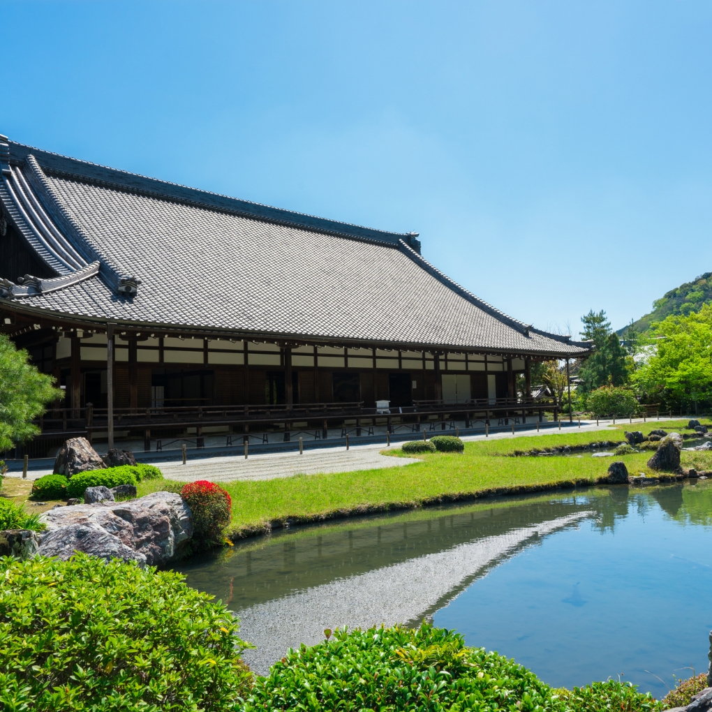 Connection with Surrounding Cultural Facilities