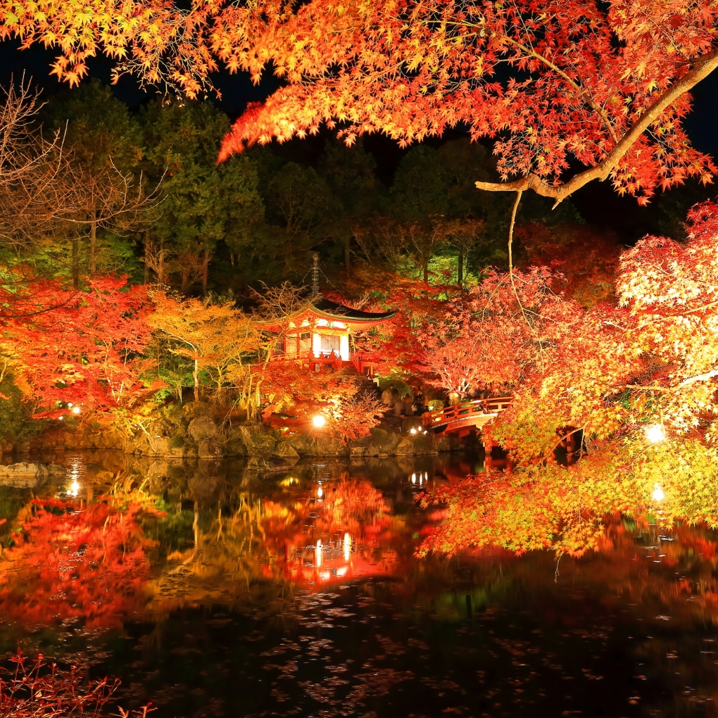 Enjoy Seasonal Beauty at a Famous Spot for Cherry Blossoms and Autumn Leaves
