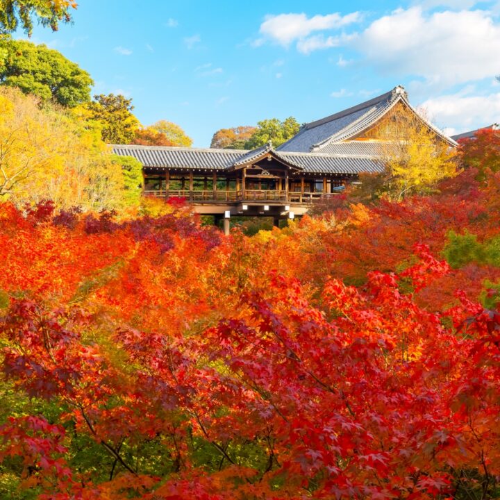 Tofukuji Temple KYOTO TO DO Tofukuji Temple KYOTO TO DO