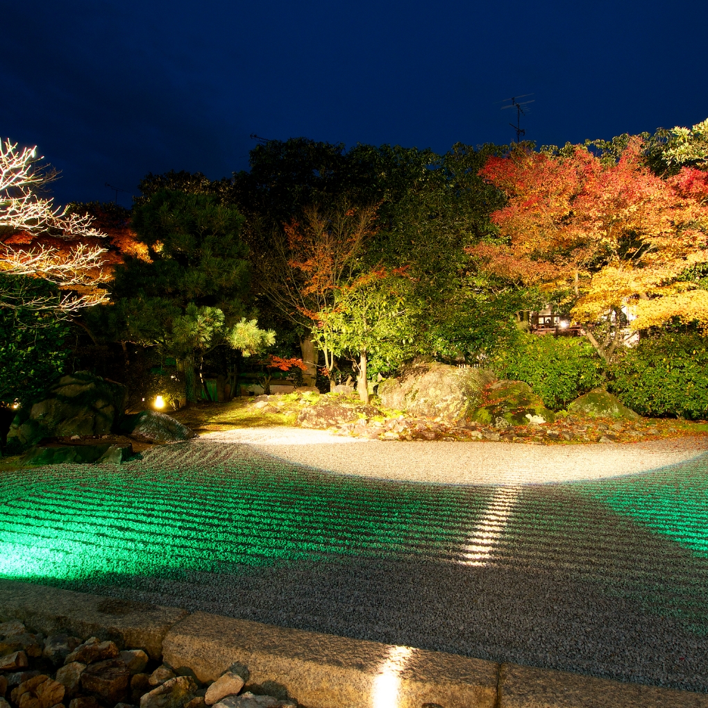 An Enchanting World of Nighttime Illumination