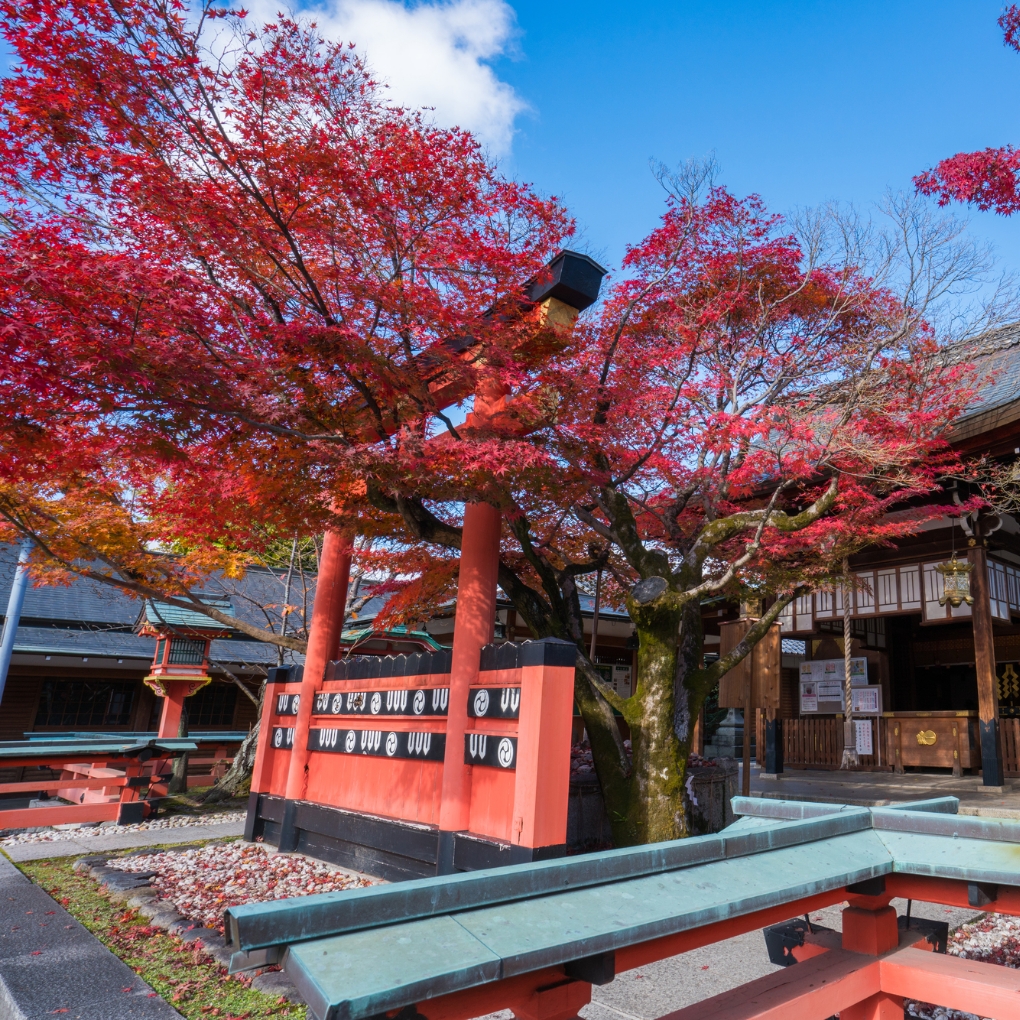 Experience the Beauty of Autumn at Kurumazaki-jinja Shrine